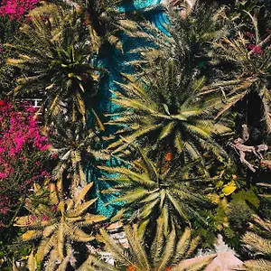 Hotel Flamingo & - Pet Friendly, Oludeniz